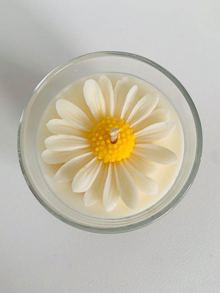 daisy jar candle