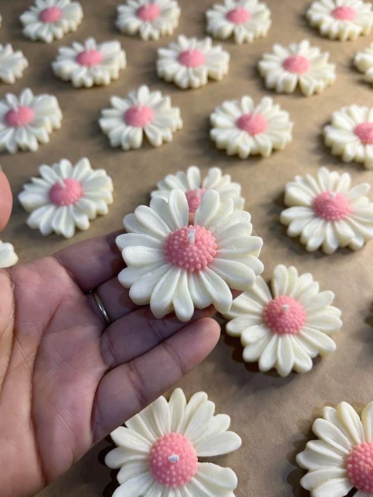 Daisy fragrance candle